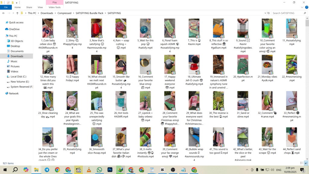 Satisfaction Reel Bundle Create Viral Content and Make Online Earnings Possible