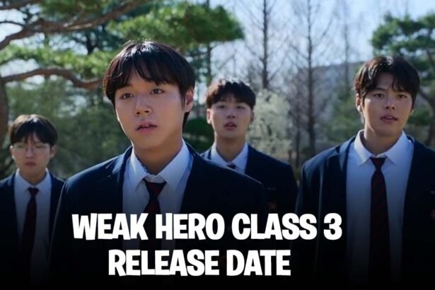 Will Netflix Renew Weak Hero Class 3